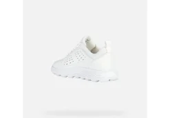 Geox Sneakers Basse*Scarpa